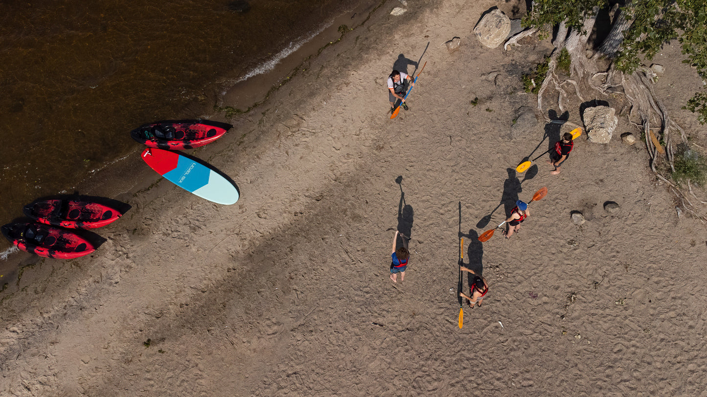Paddle board