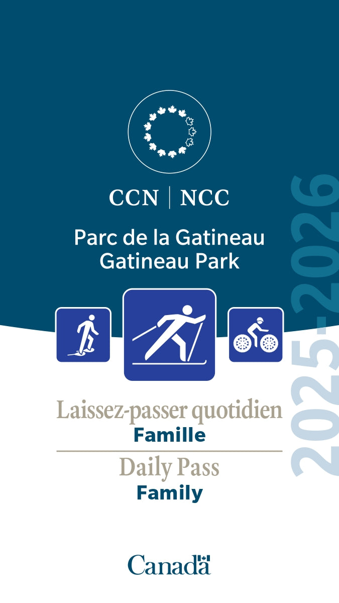 Ski + daily pass