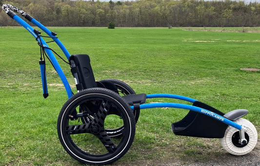 Seahorse on wheels