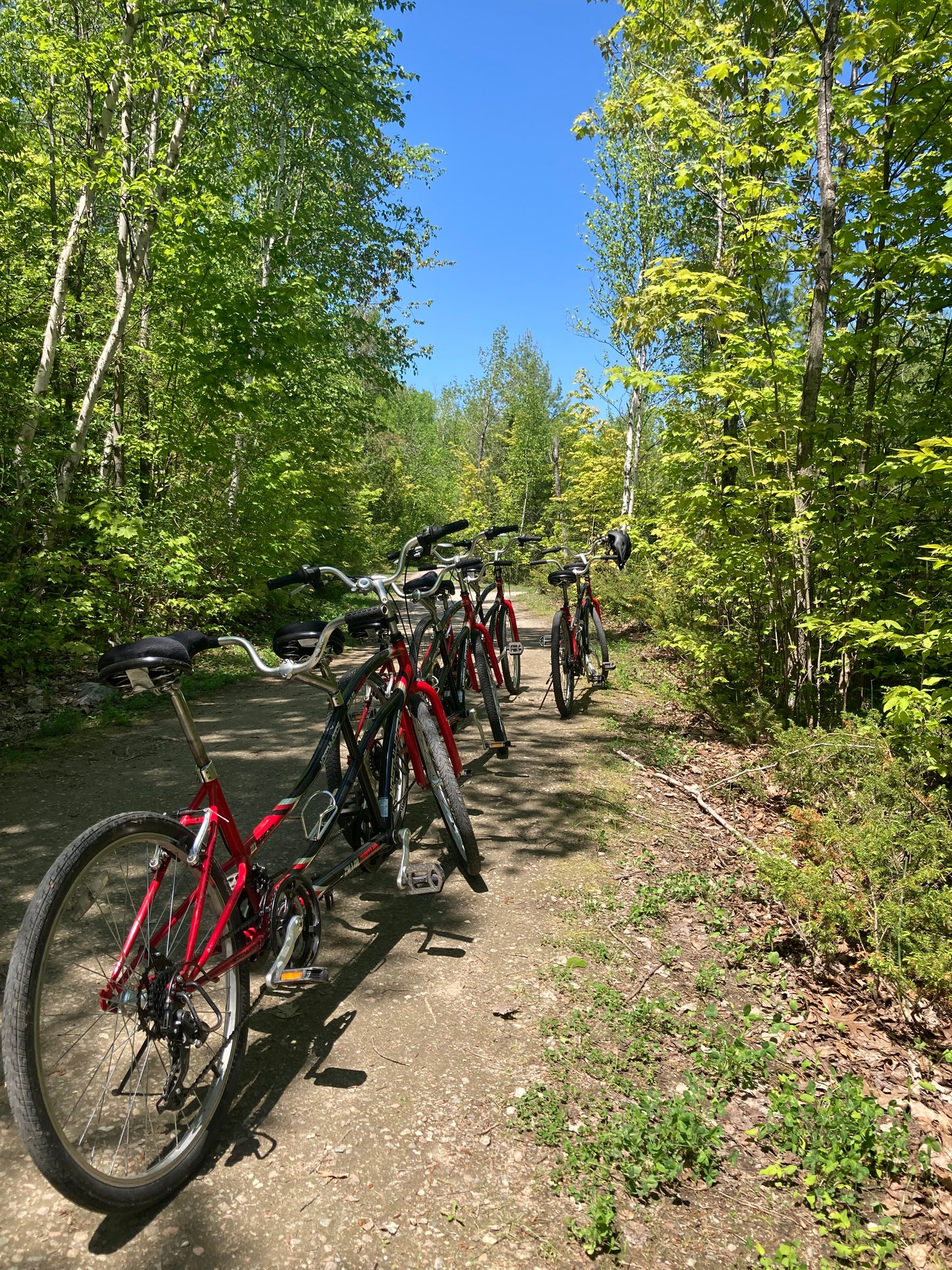 Tandem Bike Rental