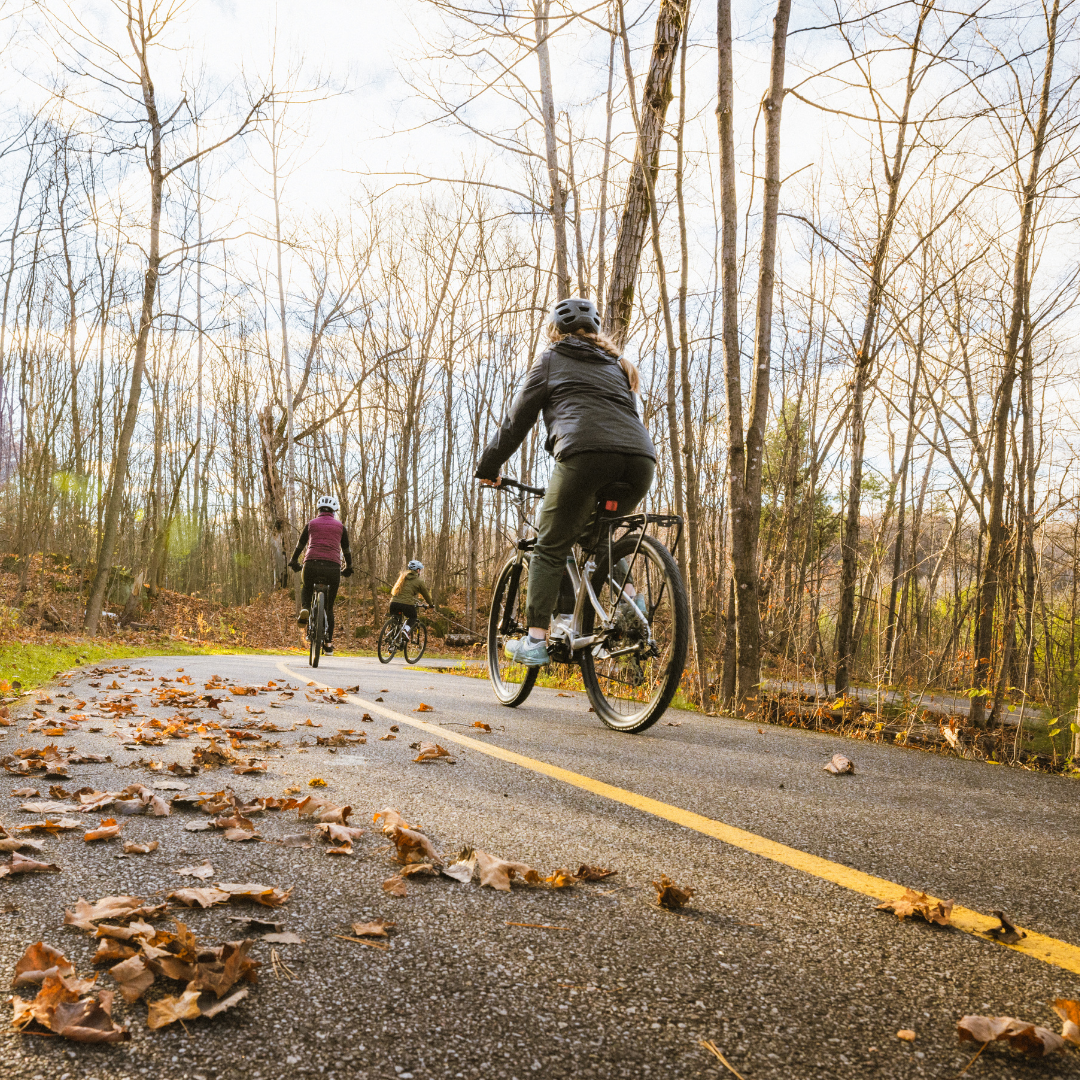 Balade en vélo vers le Lac Pink