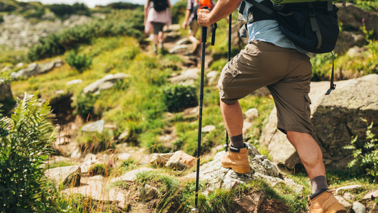 Hiking pole rental