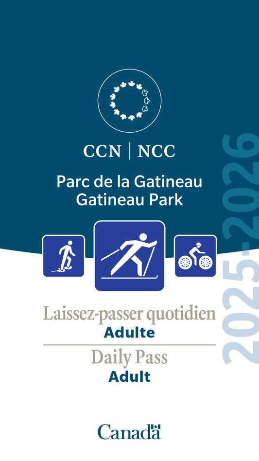 Ski + daily pass