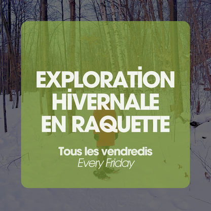 Winter Snowshoeing Exploration