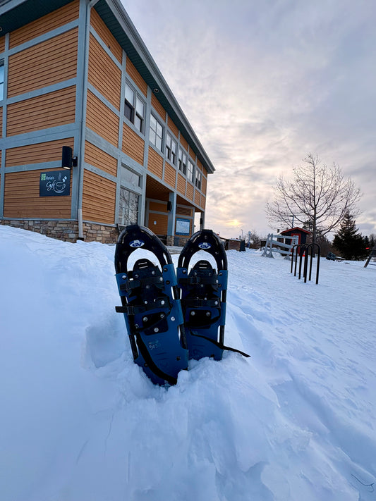 Winter Snowshoeing Exploration