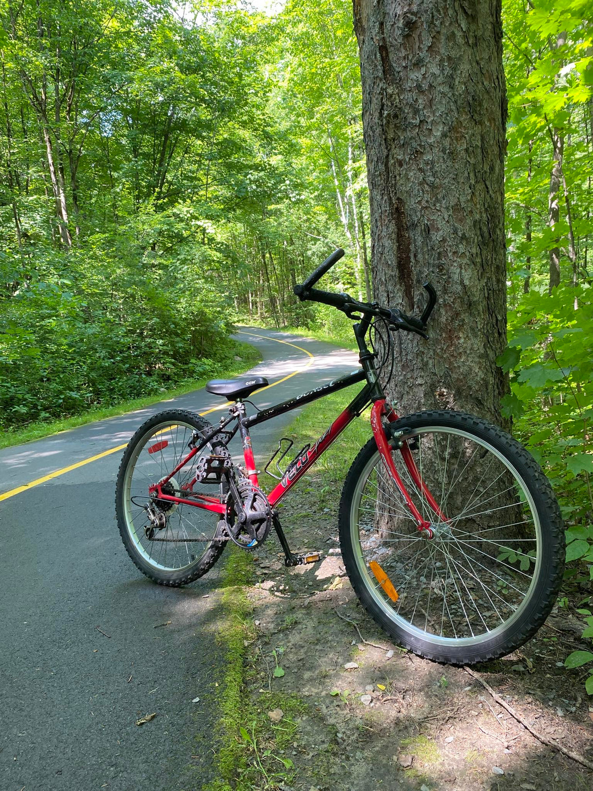 Location de Vélo pour enfant - Prolongée
