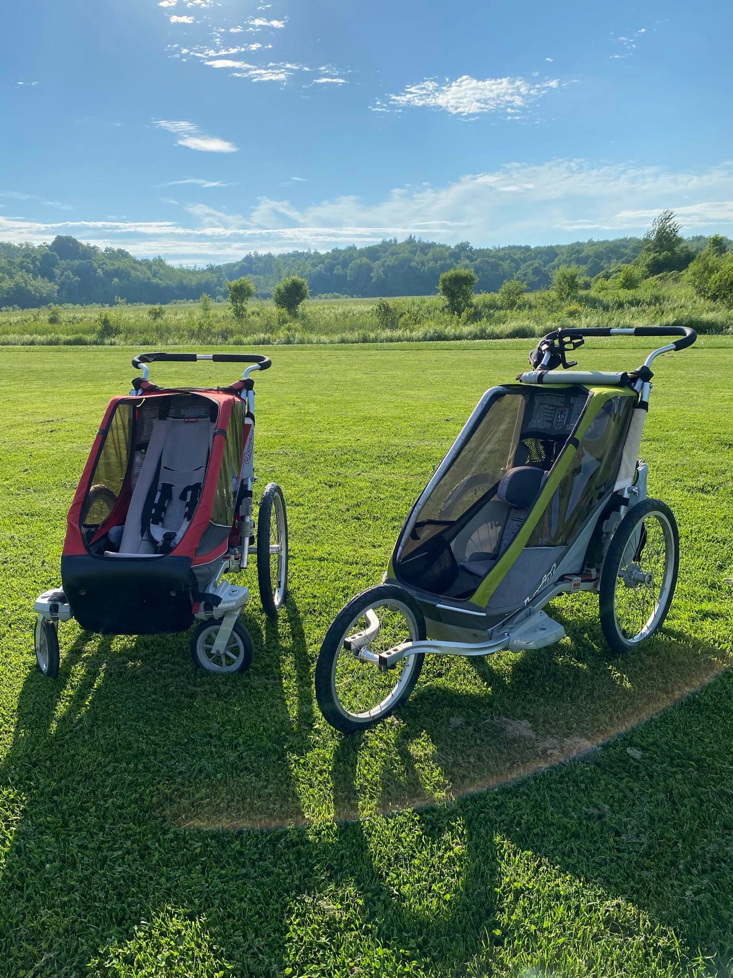 Chariot pour enfant Thule