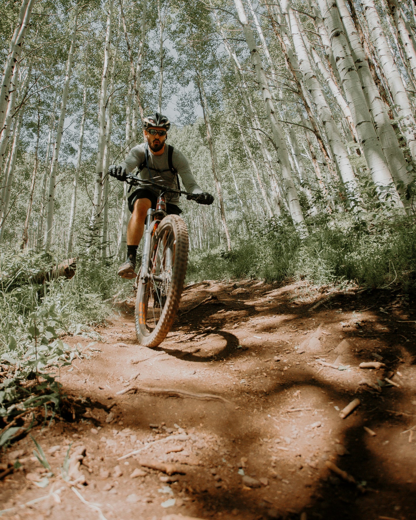 Cours d'introduction au vélo de montagne