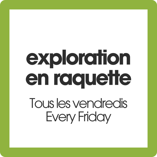 Exploration Hivernale en Raquette