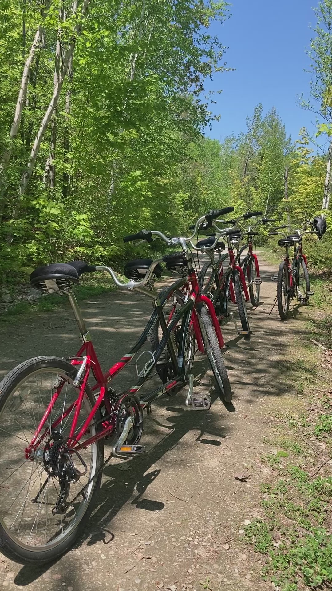 Location de Vélo Tandem - Prolongée