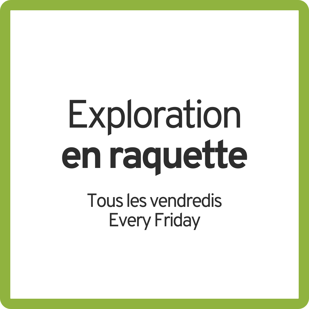 Winter Snowshoeing Exploration