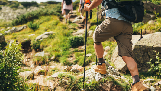 Hiking poles